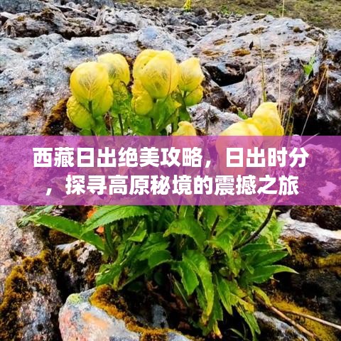 西藏日出絕美攻略，日出時分，探尋高原秘境的震撼之旅