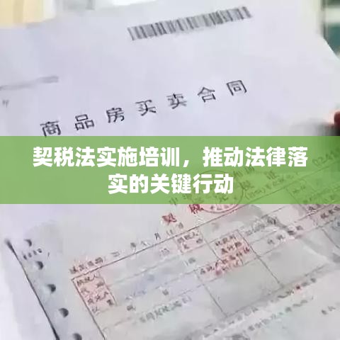 契稅法實施培訓，推動法律落實的關鍵行動