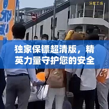 獨家保鏢超清版，精英力量守護您的安全