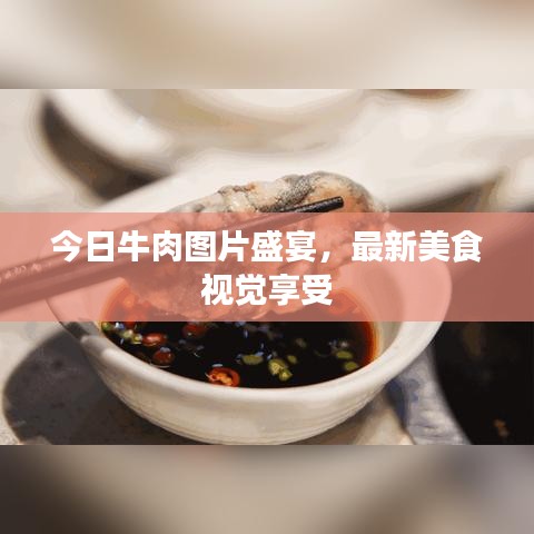 今日牛肉圖片盛宴，最新美食視覺(jué)享受