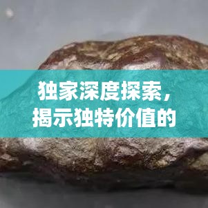 獨家深度探索，揭示獨特價值的奧秘之旅