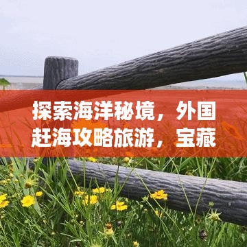 探索海洋秘境，外國(guó)趕海攻略旅游，寶藏之旅開(kāi)啟！