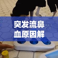 突發(fā)流鼻血原因解析，處理及預防措施全攻略
