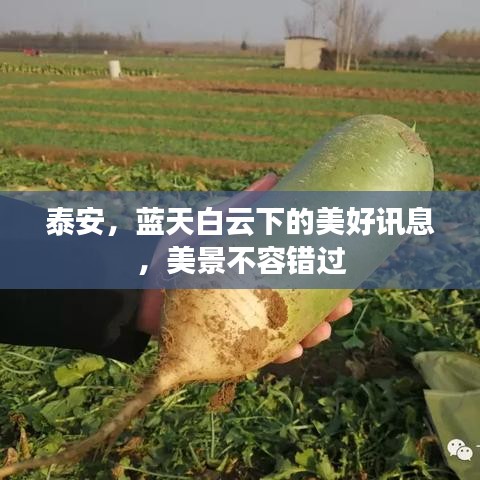 廢寢忘食 第2頁