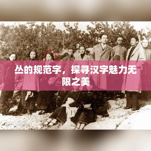 叢的規(guī)范字，探尋漢字魅力無限之美