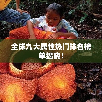 全球九大屬性熱門排名榜單揭曉！