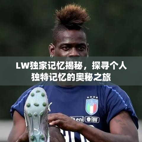 LW獨(dú)家記憶揭秘，探尋個(gè)人獨(dú)特記憶的奧秘之旅