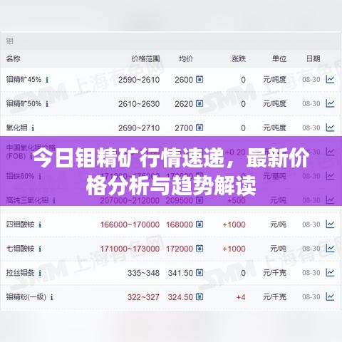 今日鉬精礦行情速遞，最新價格分析與趨勢解讀