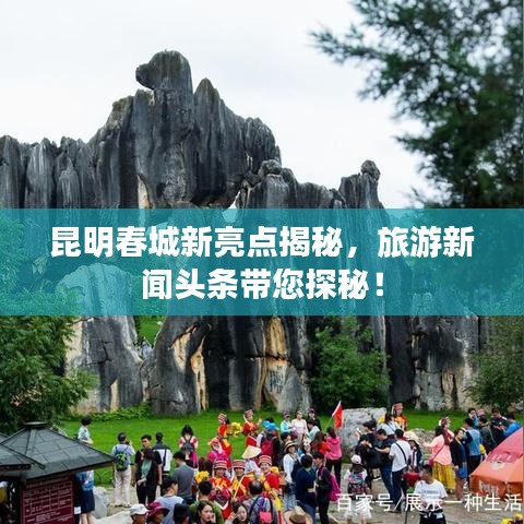 昆明春城新亮點(diǎn)揭秘，旅游新聞?lì)^條帶您探秘！
