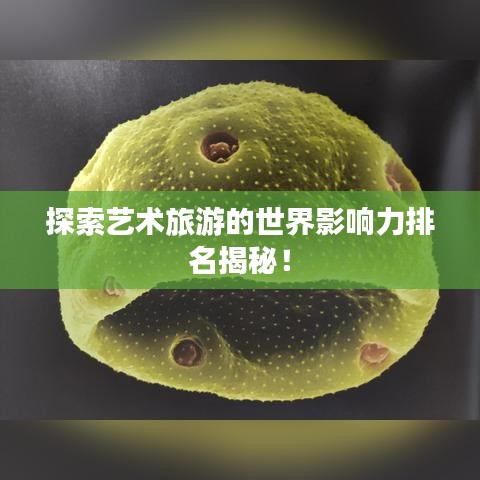 探索藝術(shù)旅游的世界影響力排名揭秘！