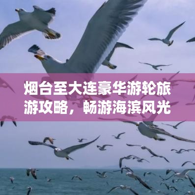 煙臺至大連豪華游輪旅游攻略，暢游海濱風光，盡享海上盛宴！
