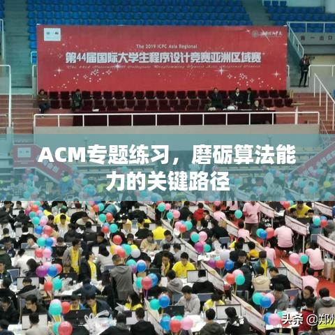 ACM專題練習(xí)，磨礪算法能力的關(guān)鍵路徑