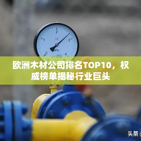 歐洲木材公司排名TOP10，權(quán)威榜單揭秘行業(yè)巨頭