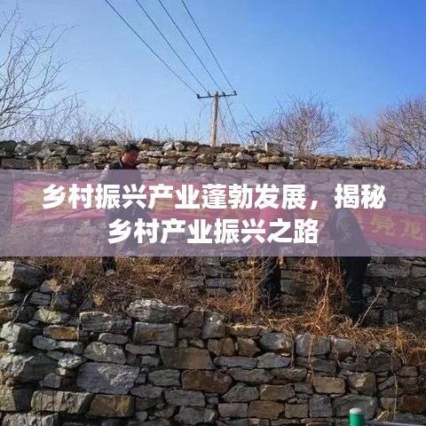 鄉(xiāng)村振興產(chǎn)業(yè)蓬勃發(fā)展，揭秘鄉(xiāng)村產(chǎn)業(yè)振興之路