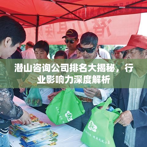 潛山咨詢(xún)公司排名大揭秘，行業(yè)影響力深度解析
