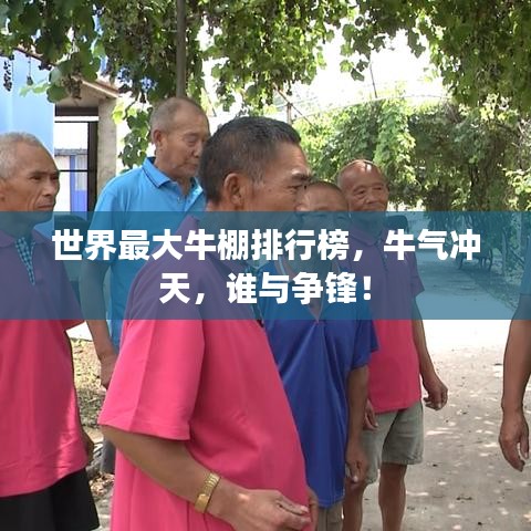 世界最大牛棚排行榜，牛氣沖天，誰(shuí)與爭(zhēng)鋒！