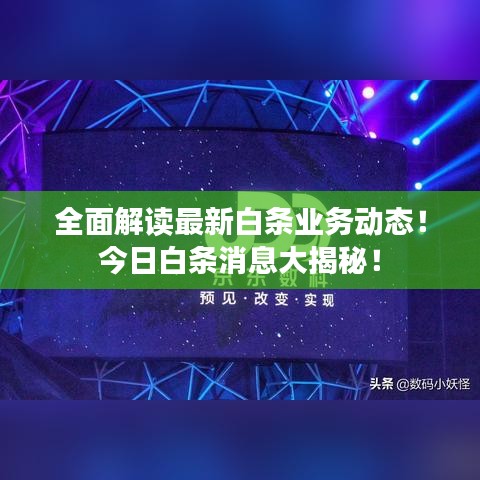 全面解讀最新白條業(yè)務(wù)動(dòng)態(tài)！今日白條消息大揭秘！