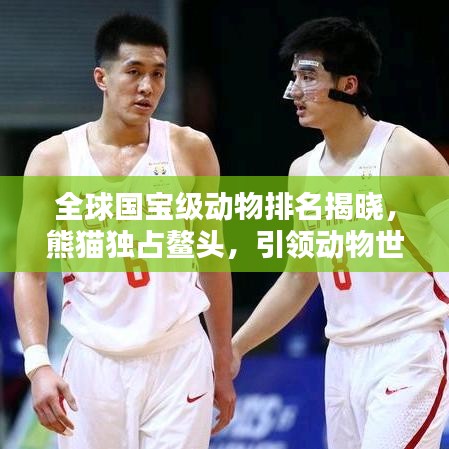 全球國寶級動物排名揭曉，熊貓獨占鰲頭，引領(lǐng)動物世界風(fēng)潮！