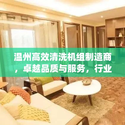溫州高效清洗機組制造商，卓越品質(zhì)與服務，行業(yè)典范之選