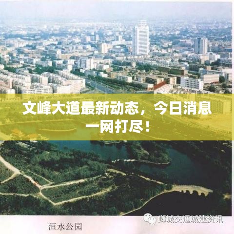 文峰大道最新動態(tài)，今日消息一網(wǎng)打盡！