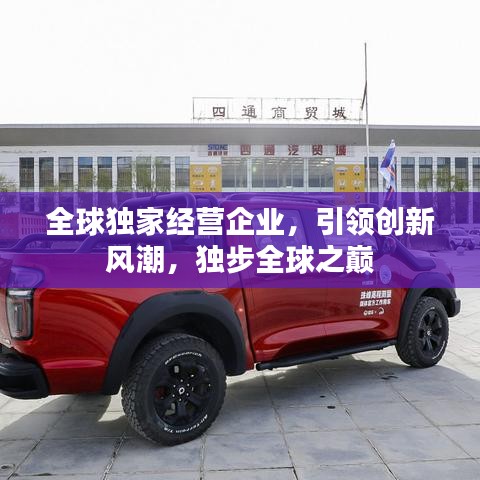 全球獨家經(jīng)營企業(yè)，引領創(chuàng)新風潮，獨步全球之巔