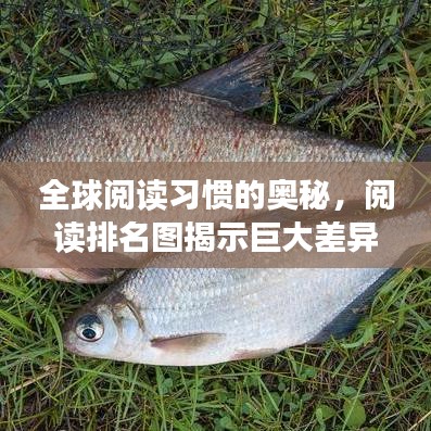 全球閱讀習(xí)慣的奧秘，閱讀排名圖揭示巨大差異！