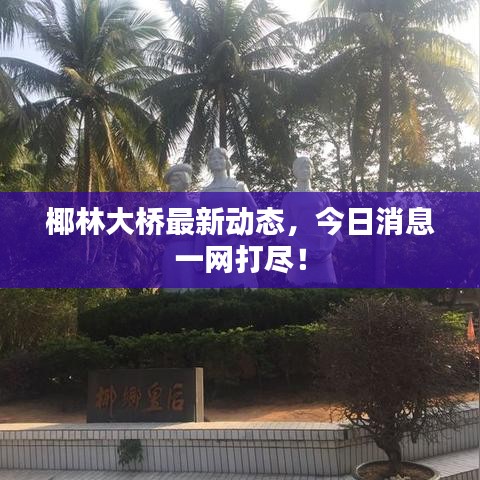 椰林大橋最新動(dòng)態(tài)，今日消息一網(wǎng)打盡！