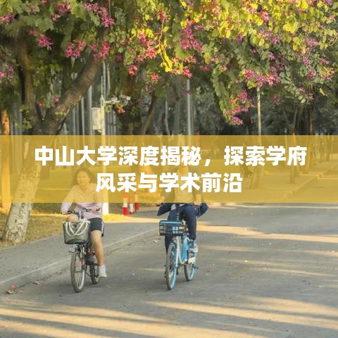 中山大學(xué)深度揭秘，探索學(xué)府風(fēng)采與學(xué)術(shù)前沿