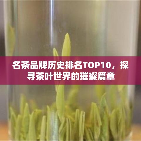 名茶品牌歷史排名TOP10，探尋茶葉世界的璀璨篇章