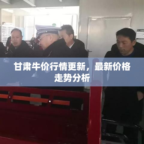甘肅牛價(jià)行情更新，最新價(jià)格走勢分析