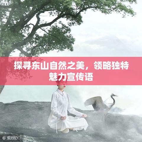 探尋東山自然之美，領(lǐng)略獨(dú)特魅力宣傳語