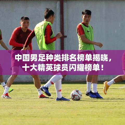 中國男足種類排名榜單揭曉，十大精英球員閃耀榜單！
