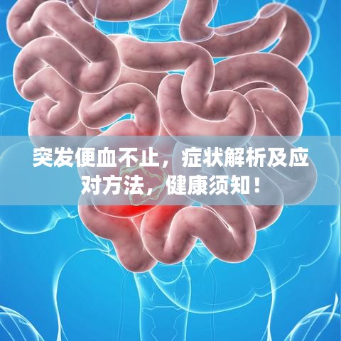 突發(fā)便血不止，癥狀解析及應(yīng)對方法，健康須知！