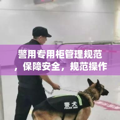 警用專用柜管理規(guī)范，保障安全，規(guī)范操作，提升警務效率
