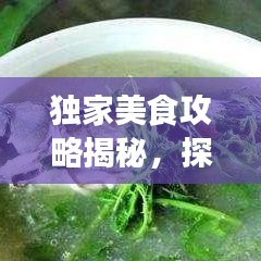 獨家美食攻略揭秘，探索味蕾盛宴的極致之旅