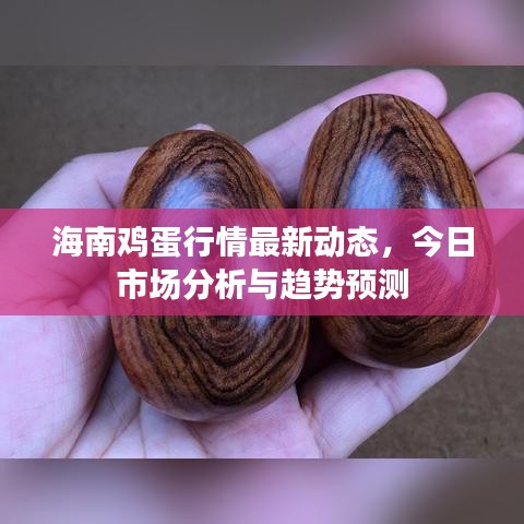 海南雞蛋行情最新動(dòng)態(tài)，今日市場(chǎng)分析與趨勢(shì)預(yù)測(cè)