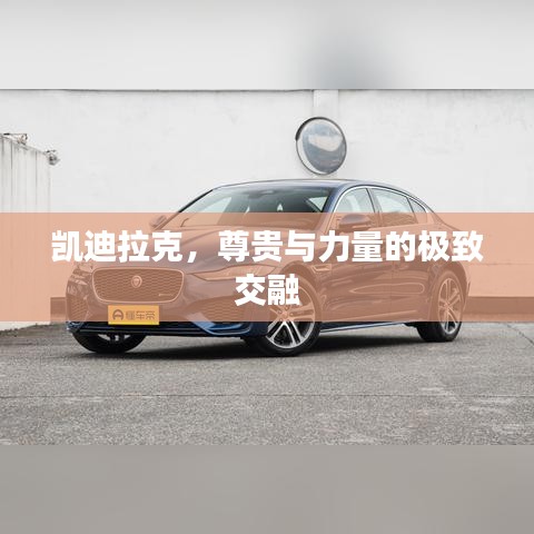 凱迪拉克，尊貴與力量的極致交融