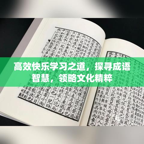 高效快樂(lè)學(xué)習(xí)之道，探尋成語(yǔ)智慧，領(lǐng)略文化精粹