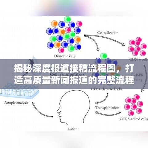 揭秘深度報道接稿流程圖，打造高質(zhì)量新聞報道的完整流程揭秘