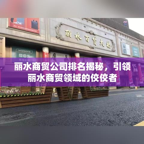 麗水商貿(mào)公司排名揭秘，引領麗水商貿(mào)領域的佼佼者