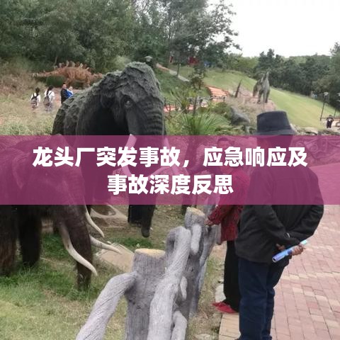 龍頭廠突發(fā)事故，應急響應及事故深度反思