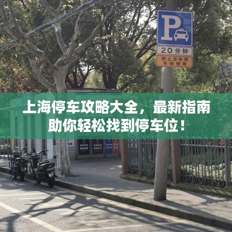 上海停車攻略大全，最新指南助你輕松找到停車位！