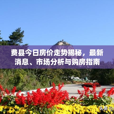 費縣今日房價走勢揭秘，最新消息、市場分析與購房指南