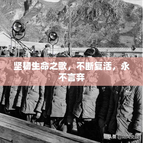 堅(jiān)韌生命之歌，不斷復(fù)活，永不言棄