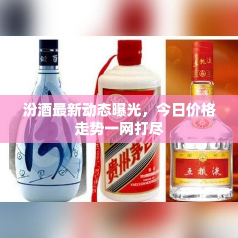 汾酒最新動(dòng)態(tài)曝光，今日價(jià)格走勢(shì)一網(wǎng)打盡