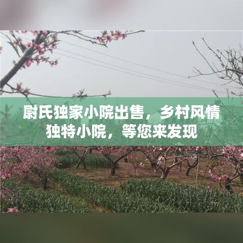 尉氏獨(dú)家小院出售，鄉(xiāng)村風(fēng)情獨(dú)特小院，等您來發(fā)現(xiàn)