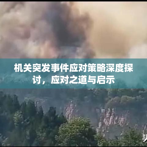 機關(guān)突發(fā)事件應(yīng)對策略深度探討，應(yīng)對之道與啟示