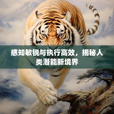 感知敏銳與執(zhí)行高效，揭秘人類潛能新境界