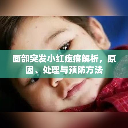 面部突發(fā)小紅疙瘩解析，原因、處理與預(yù)防方法