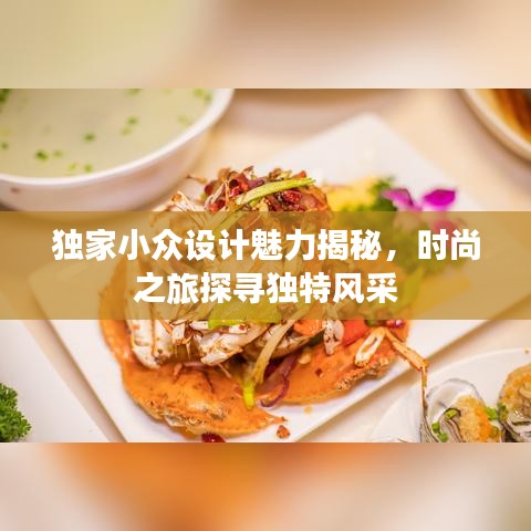 獨家小眾設(shè)計魅力揭秘，時尚之旅探尋獨特風采